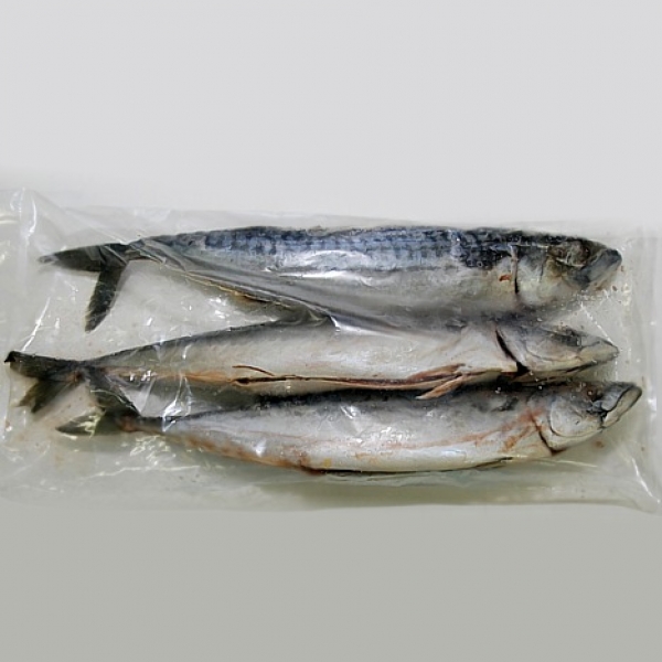 Cleaned Norwegian mackerel